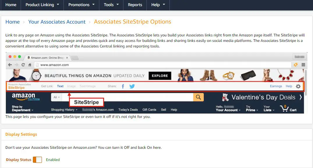 Amazon sitestripe