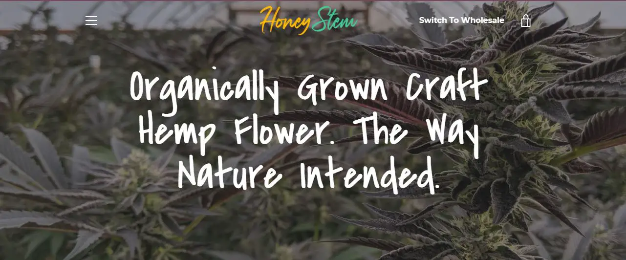 honey stem CBD affiliate program